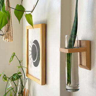 Propagation Container - Dark Walnut