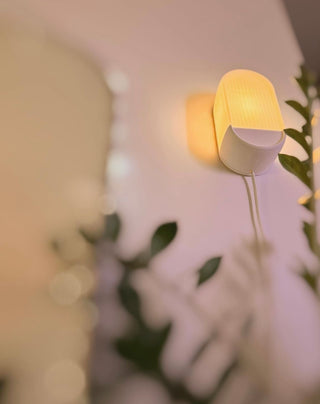 Wall Light