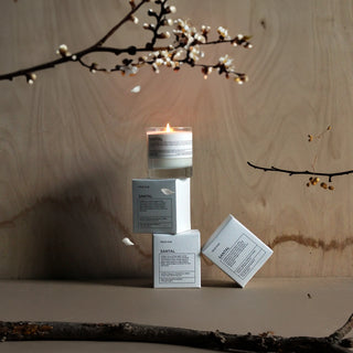 True Hue Candles 7.75OZ