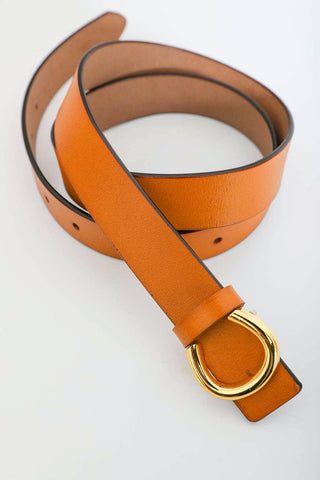 Gold Horseshoe Leather Belt