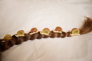 Mini Snail Acetate Claw Clip — Earth