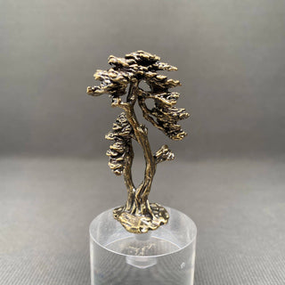 The Brass Pine Tree Desktop Ornament