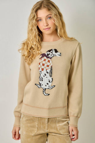 Dapper Dalmatian Scarf Dog Sweater