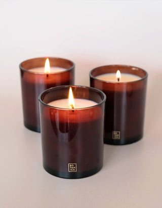 Hinoki Island Candle — 12 oz
