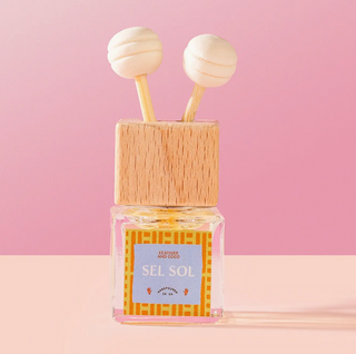 Travel Diffuser