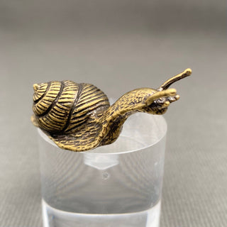 Brass Snail Decorative Sculpture - 002