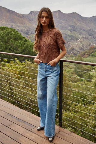Charity Round Neck Short Sleeve Crochet Sweater Top